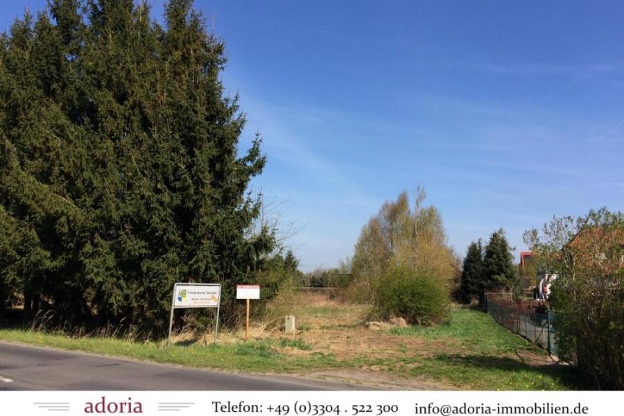 Eins ist noch frei! Großes, sonniges Baugrundstück im schönen Bärenklau nahe Berlin