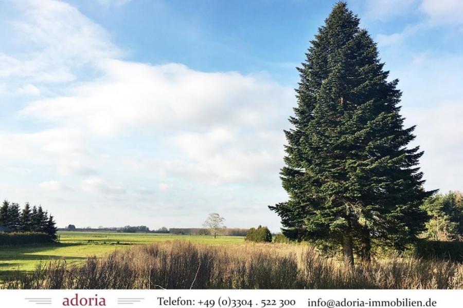 Für Liebhaber - Großes Grundstück in Westausrichtung, traumhafter Feldblick, Bärenklau