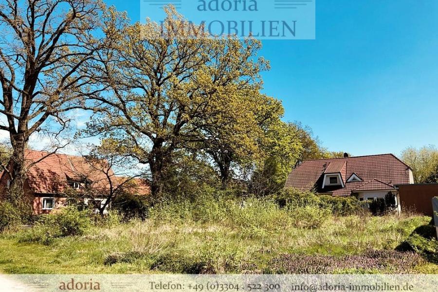 * adoria * Erfüllen Sie sich mit diesem Grundstück Ihren Traum vom eigenen Haus