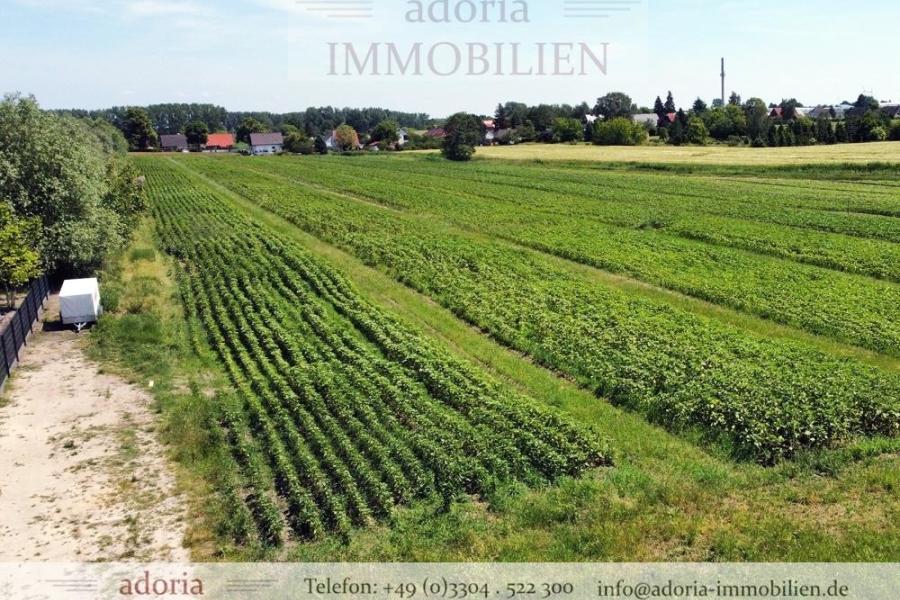 Baugrundstück in Traumlage mit Feldblick - Seenähe - Berliner Umland