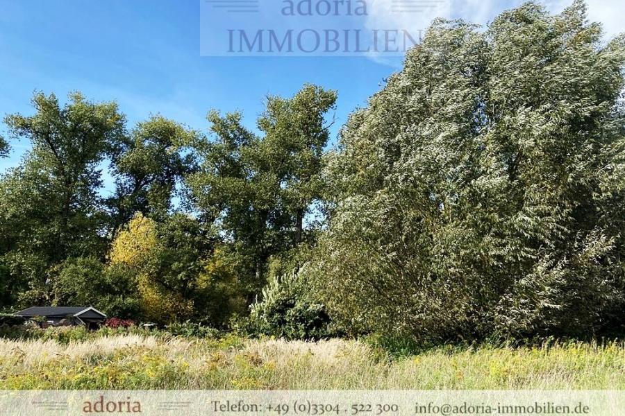 IHR BAUGRUNDSTÜCK - Wohnen in traumhafter Naturlage im Berliner Umland - Seenähe