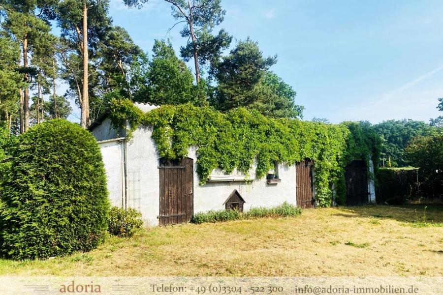 Drei Schafe, drei Hühner, Stall und großes Grundstück mit altem Abrisshaus - direkt am Wald