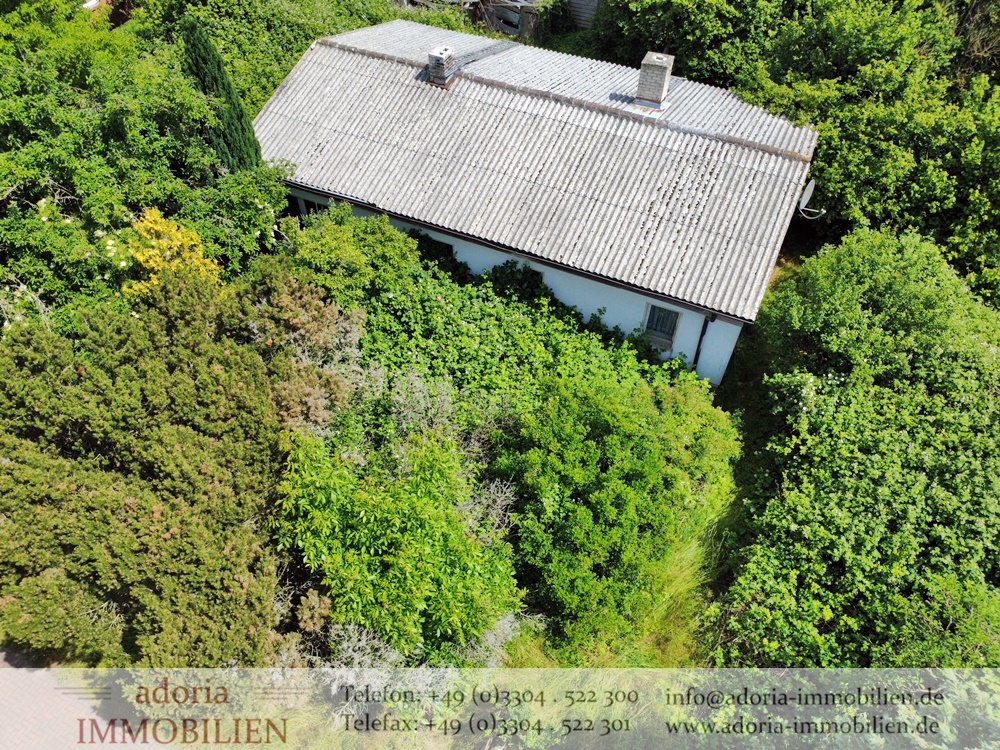 * Wecke mich aus dem Dornröschenschlaf * Großes Grundstück mit Abriss-Wohnhaus *